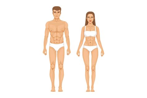 Your human body stock images are ready. Woman body parts. Human anatomy vector illustrations ...