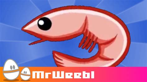 Where is a shrimp's heart. Shrimp Glockenspiel : animated music video : MrWeebl - YouTube
