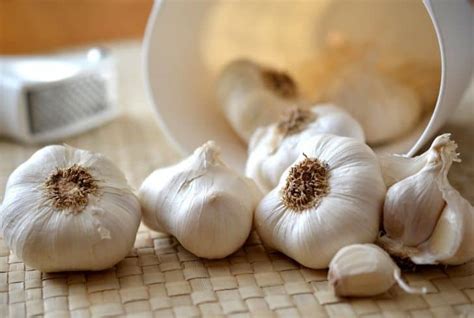 Check out the 16 health benefits of garlic here! 15 Surprising Health Benefits of Drinking Garlic Juice You ...