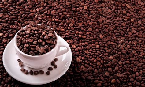 Check spelling or type a new query. Where Do Coffee Beans Come From: From Plants to Home