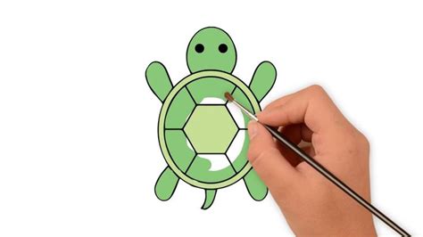 Easy drawing tutorials for beginners, learn how to draw animals, cartoons, people and comics. How to draw a turtle - How to draw funny cartoons | Turtle ...