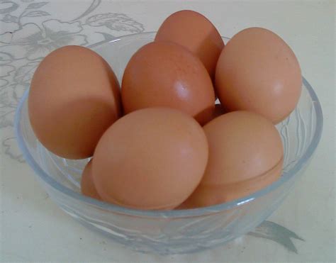 Sebelum telur puyuh direbus, anda. SALIMAH OLIE : Bagaimana Mahu Dapatkan Telor Rebus ...