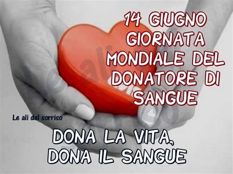 Che ti avvolgono, ti sorreggono, ti stringono'. Buongiorno e felice giornata internazionale | Sangue ...