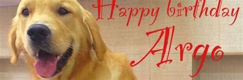 Fermato alla frontiera Argo: il cane di Girone rimane in ...