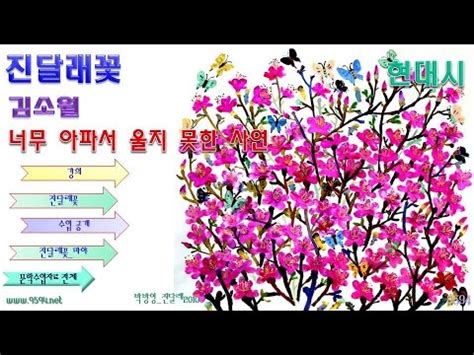 가시는 걸음 걸음 놓인 그 꽃을 사뿐히 즈려 밟고 가시옵소서. 진달래꽃_김소월, 현대시 특강 - YouTube