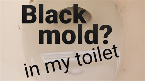 You may even need to turn the. Black ring in toilet. #mold, #toiletrepair, #ring in ...