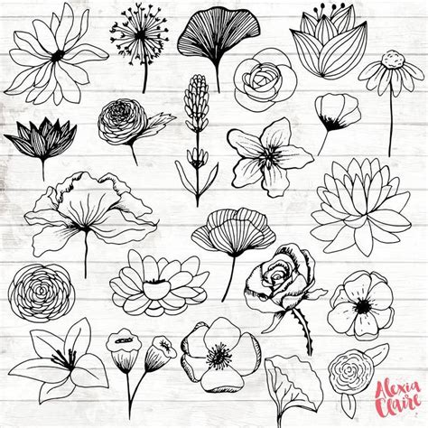 Art for sale by famous artists in online art gallery. Flowers Clipart 23 Hand Drawn Floral Cliparts Realistic ...