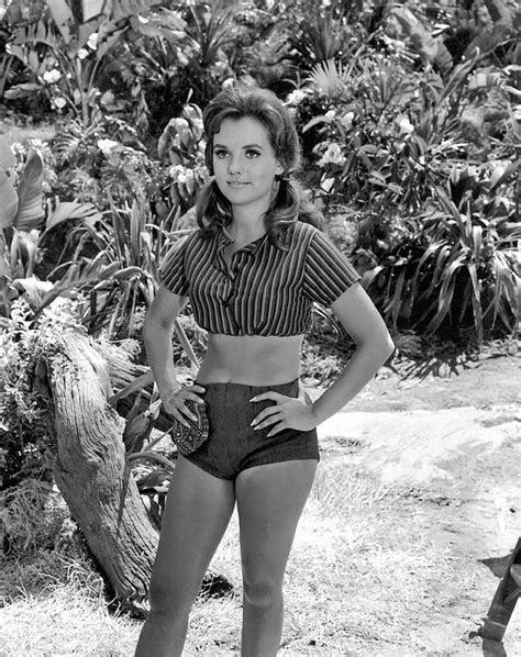 Dawn wells, who played the wholesome mary ann among a misfit band of shipwrecked castaways on the 1960s sitcom gilligan's island, died wednesday of wells died peacefully at a living facility in los angeles, publicist harlan boll said. Picture of Dawn Wells