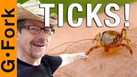 Be sure to check your kids, your pets, and yourself daily to be sure that if a tick has gotten onto you that you remove it quickly. TICKS How To Keep Them Off You - YouTube