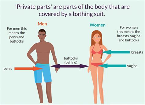 The overall female silhouette, then, is an hourglass as opposed to the male trapeze shown below. Be Safe: What are Private Parts — PAAutism.org, an ASERT ...
