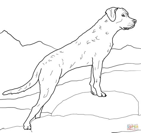 We found many intriguing and extraordinary labrador retriever coloring pages photos that can be suggestions, input and information regarding you. Labrador Retriever Drawing at GetDrawings | Free download