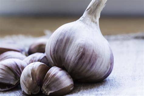 April 21st 2020, 7:46 am. Garlic for Hair Growth Review: Does it Work? - Updatded ...