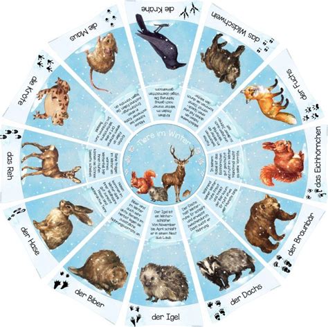 This is an online quiz called tierspuren. kreis_tiere_winter2 | Winterschlaf tiere, Tiere, Thema ...