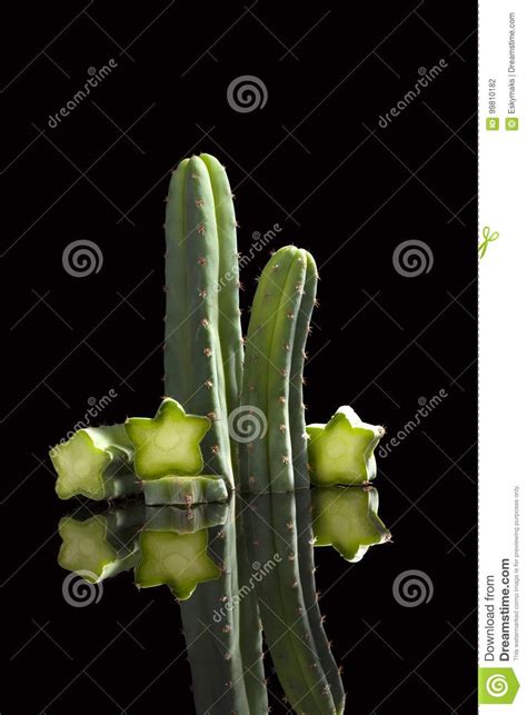 Can anyone tell me why this isn't the best way to enjoy it was my 1st time eating san pedro, though i have grown it for about 20 years. San Pedro cactus. stock photo. Image of piece, nobody ...