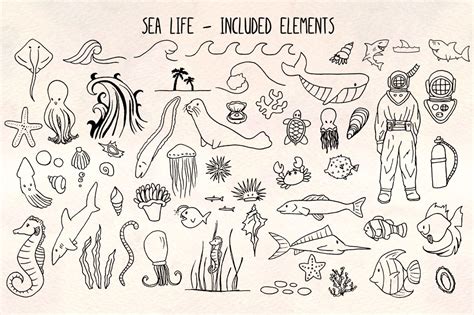 Maybe you would like to learn more about one of these? 60 Sea and Ocean Creature Illustration #79679 in 2020 ...