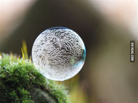 Frozen bubble. | Frozen bubbles, Bubbles, Soap bubbles