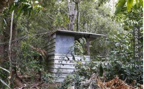 Aku sengaja datang lebih awal sekitar pukul 15.45, dan. Pemuas Nafsu Perempuan | Foto Bugil Bokep 2017