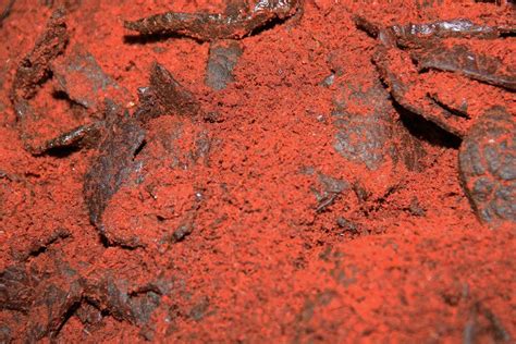 Rendang kering ini membuat warna dagingnya. Rendang Paru, Variasi Kenikmatan yang Berbeda dari ...