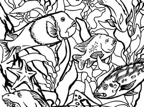 That'll put the dude with tude in a better mood. Coloring Pages at the Monterey Bay Aquarium | Coloring ...