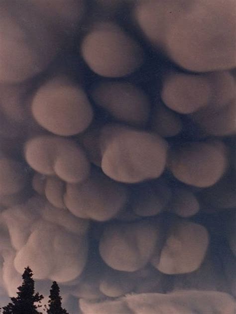 History and etymology for mammatus. Scary Mammatus Clouds : pics