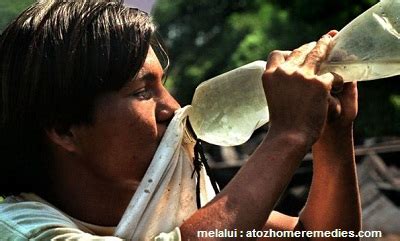 Antara kajian yang awal di malaysia selain kajian foo et al (1985) penyakit bawaan vektor yang berbahaya kepada manusia dan menyebabkan kenaikan. 10 Jenis Penyakit Menular Berbahaya dan Mematikan di Dunia