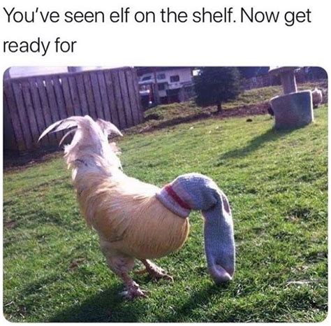 He takes the parrot home and tries to teach the parrot how to say a few things, but instead, the parrot just swears. 42 Funny Pictures Of Animals Doing Funny Things With ...