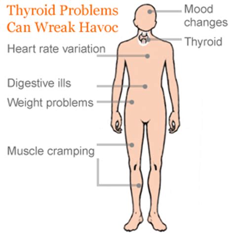 It is the most rapidly increasing cancer in the united states, largely due to increase imaging. Alternative Medicine: How Can I Tell If I Have A Thyroid ...