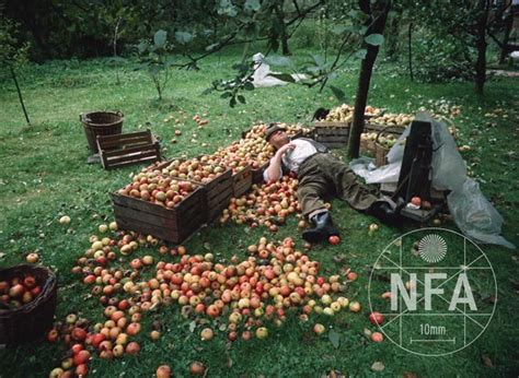 Kredit umožní i stahování neomezenou. Slavnosti sněženek (1983) - Filmový přehled