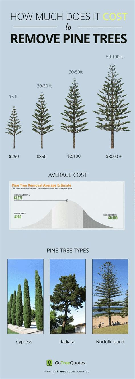 You can take some simple. Pine tree removal cost in 2020 | Tree removal cost, Tree ...