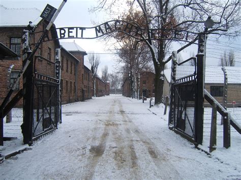 «sarebbero state più giuste 20 o 30 anni fa, quando c'erano ancora in vita i sopravvissuti dei campi di concentramento, dei campi di lavoro, di prigionia». Giorno della Memoria - Wikipedia