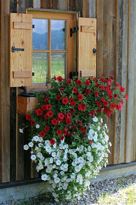 Existen muchas plantas colgantes de exterior que pueden decorar tu ventana o balcón, tienes muchas opciones entre plantas bajas, altas, frondosas, sin una duda esta seria una combinación. Balcon Con Plantas Colgantes - Maceta Redonda Para Plantas ...