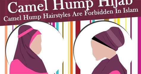 The humps of camels, leaning to one side. ~ L'amour est la nôtre ~: Camel Hump Hijab alias Jilbab ...