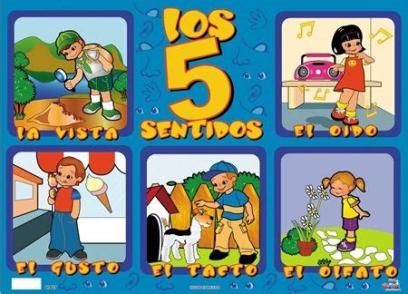 Actividades interactivas preescolar y primaria. Resultado de imagen para imagenes sentido de la vista para ...