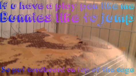 By contrast, domestic pet bunnies today mostly live inside homes, where their charming personalities take your bunny for an initial health checkup to make sure that all is well. "How to take care of a bunny" - YouTube