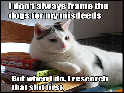 I'm positively delighted by funny internet memes. cat, Meme, Quote, Funny, Humor, Grumpy, Sadic Wallpapers ...