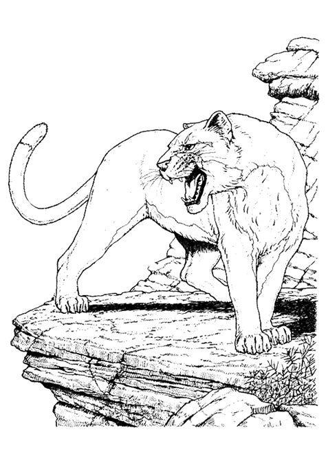 Print this free cougar coloring sheet and craft your own animal coloring book. Cougar: Coloring Pages & Books - 100% FREE and printable!