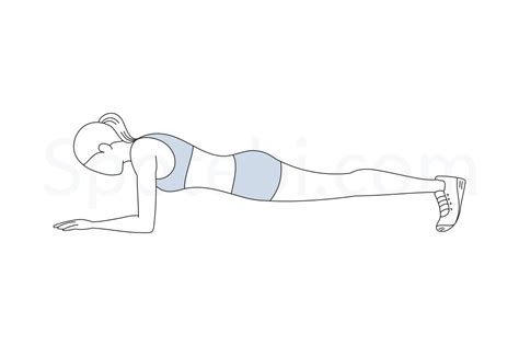 (b) work out how many students study only german. Plank | Illustrated Exercise Guide | Workout guide, Exercise, Plank workout