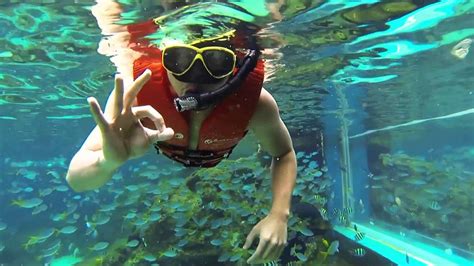 After a brief orientation you get into your wet suit (provided) and grab you mask, fins, and snorkel (provided) and begin your adventure to the sea lion rookery and sea cave. Gopro Hero3 (Adventure Cove Snorkeling) - YouTube