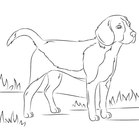 You can get the pictures of beagle on beagle coloring pages free full documents. Beagle Coloring Pages Free Full Documents | Coloring pages ...