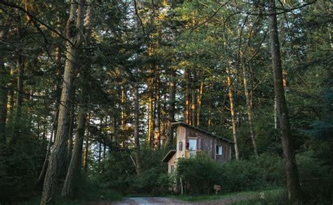 Offsite visitors are encouraged to enjoy the doe bay general store and doe Doe Bay, Orcas Island, Washington Submitted... | Orcas ...