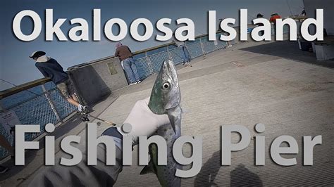 Check spelling or type a new query. Okaloosa island pier fishing - YouTube
