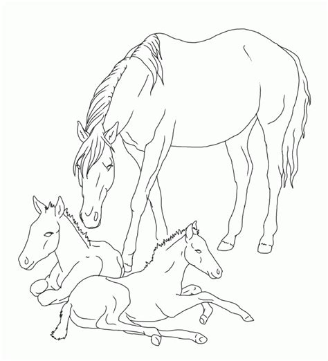 All types of horse coloring pages. Horse And Foal Coloring Pages Realistic Sketch Coloring Page - Coloring Home