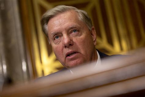 News, analysis and opinion from politico. Lindsey Graham Tells Fox News Adam Schiff Hates 'Trump's ...