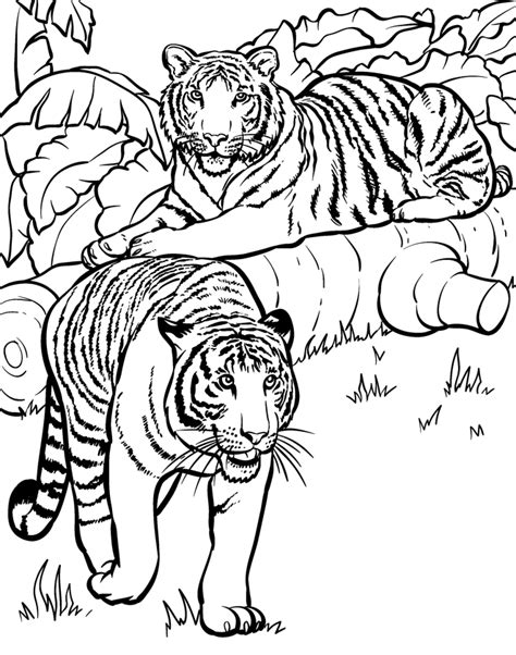 By best coloring pagesaugust 10th 2013. Real Animal Coloring Pages - Coloring Home