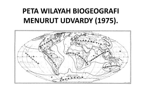 Salah satu jenis kanker yang sering diderita wanita adalah kanker serviks dan kanker rahim. PPT - BAB X EKOLOGI PowerPoint Presentation - ID:3873276