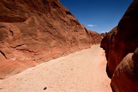 Maybe you would like to learn more about one of these? Arroyo, rambla, wadi, and wash - all mean a dry creek ...