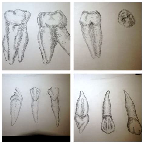 Weitere ideen zu zeichnen mit bleistift, zeichnungen, zeichnung. zähne zeichnung - zahniportal.de Blog