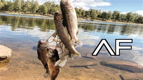 Cabins & rates (jacuzzi's) mountain meadows cabins offers 6 comfortable, cozy cabins, 4 of which have large jacuzzis from where you can enjoy our spectacular scenery. ARIZONA FISHING FOR TROUT AT WOODS CANYON LAKE!!! EASY ...