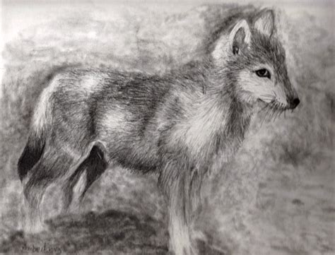 We did not find results for: Wolf Drawing - Carol's Notebook