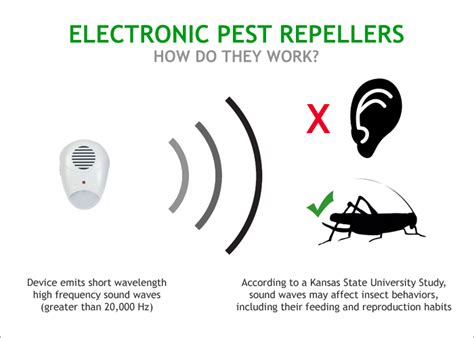 How about those pesky bed bugs? Best Electronic Ultrasonic Pest Repellers for Mice & Rats ...
